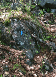 trail marker