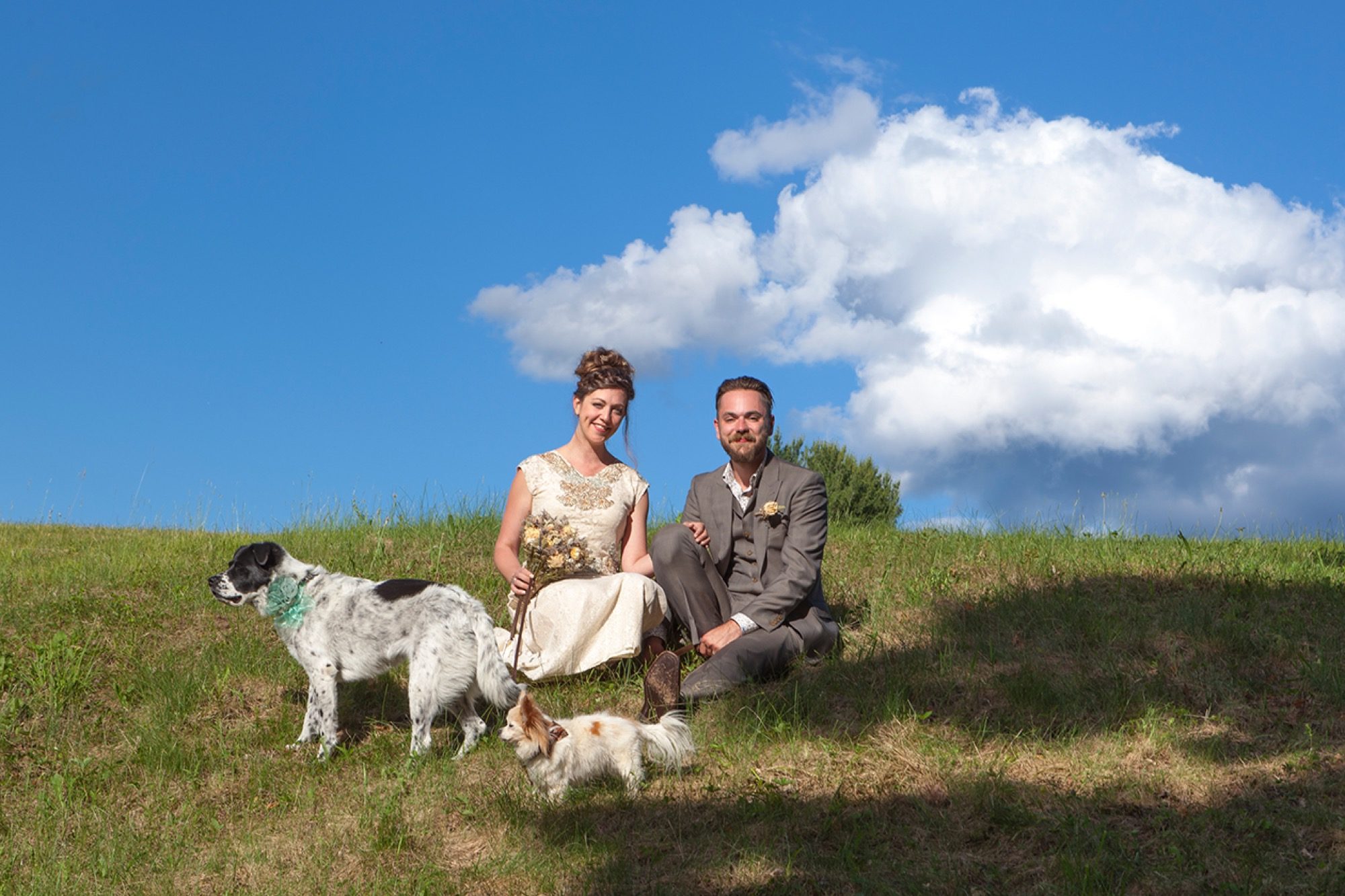 newlyweds hanging out on grassy hill with their two dogs